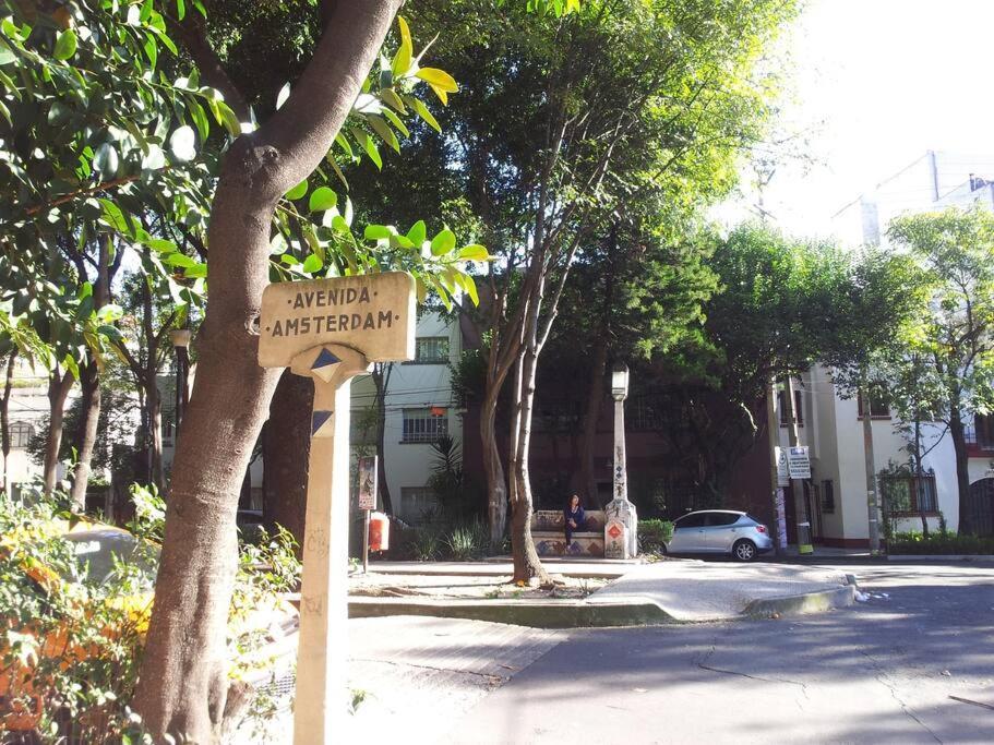 Parque Appartment. Very Sunny And Renewed Flat. Apartment *