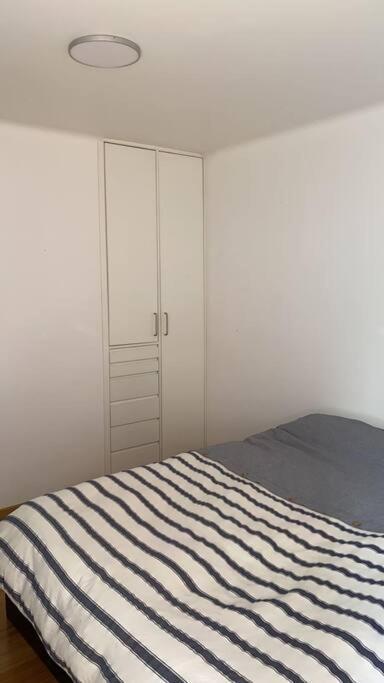 Parque Appartment. Very Sunny And Renewed Flat. Mexico City