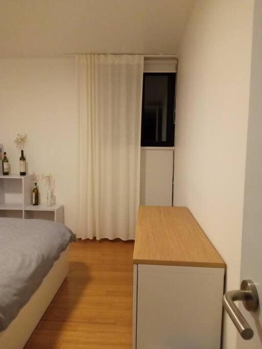 Parque Appartment. Very Sunny And Renewed Flat. Mexico City