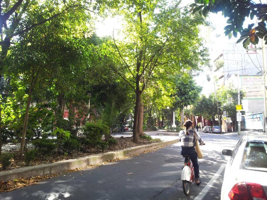 Parque Appartment. Very Sunny And Renewed Flat. *