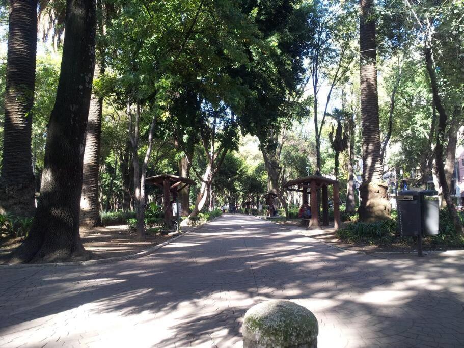Apartment Parque Appartment. Very Sunny And Renewed Flat. Mexico City