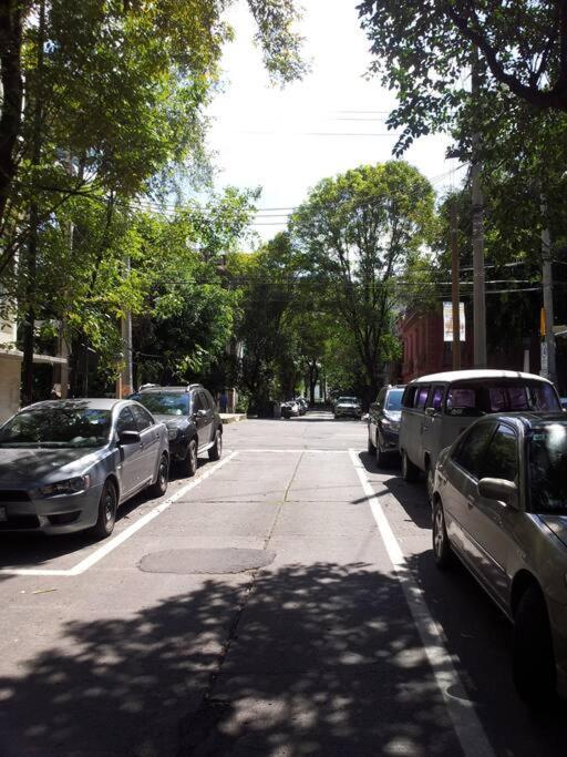 Parque Appartment. Very Sunny And Renewed Flat. Mexico City