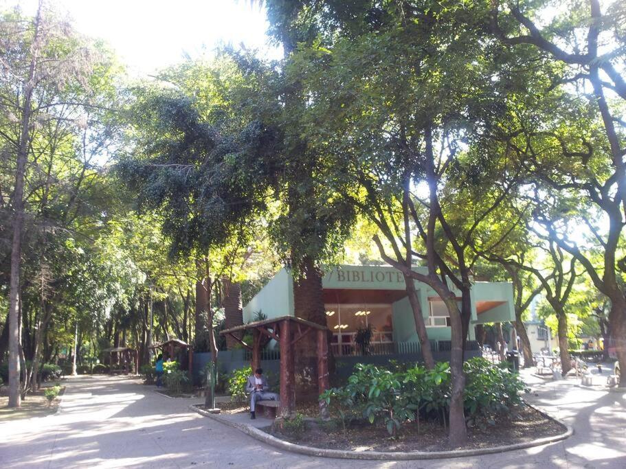 Parque Mexico Appartment. Very Sunny And Renewed Flat.