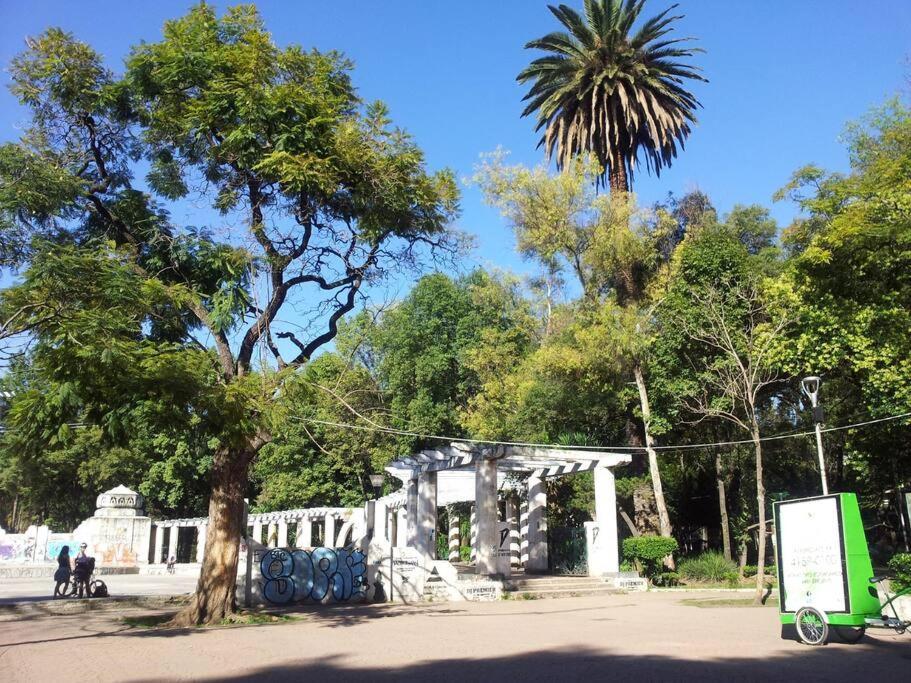 Parque Mexico Appartment. Very Sunny And Renewed Flat. * México DF