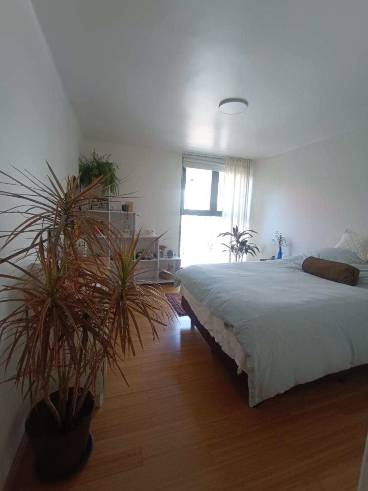 Apartment Parque Appartment. Very Sunny And Renewed Flat. Mexico City
